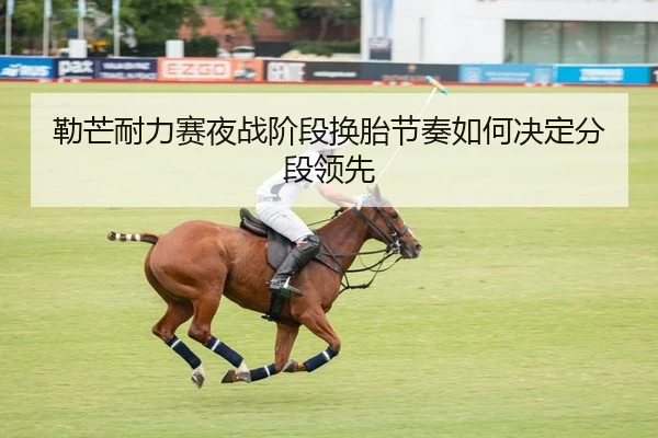 勒芒耐力赛夜战阶段换胎节奏如何决定分段领先